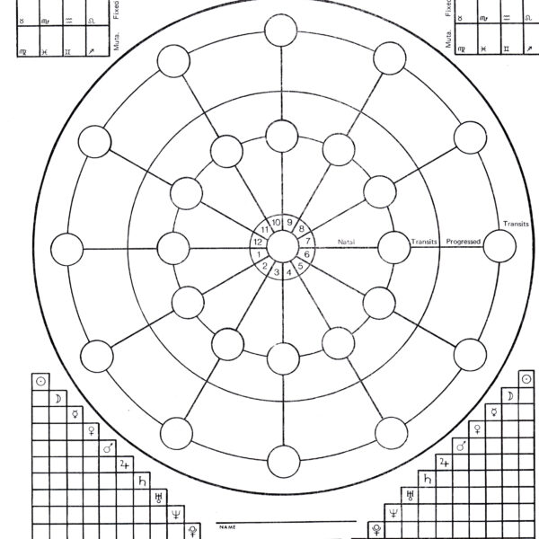 Form 12 Sophia Mason