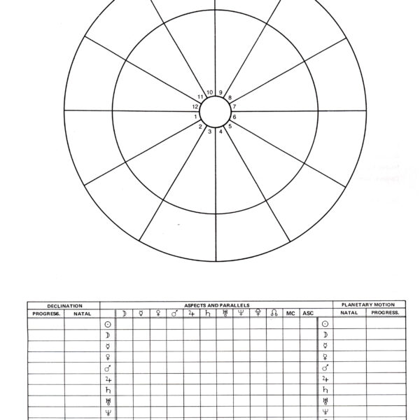 Form 4 Chart Blanks