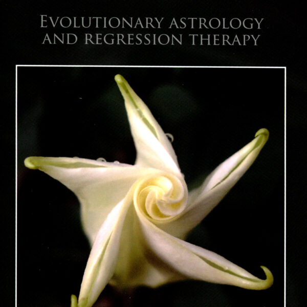 Understanding Karmic Complexes